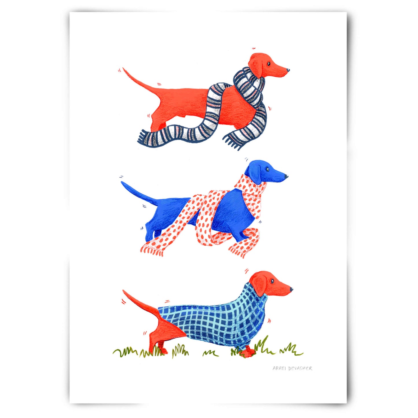 Colourful Dachshunds I – art print