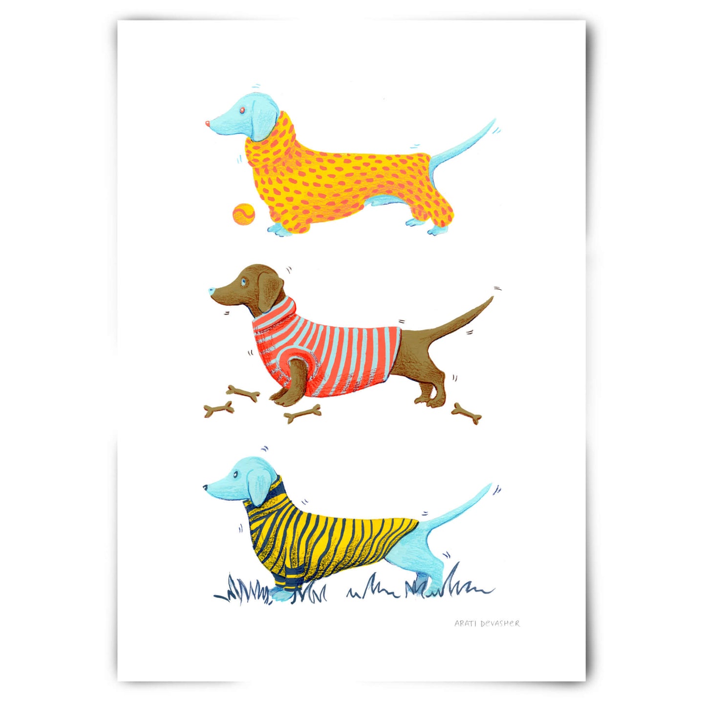Colourful Dachshunds II – art print