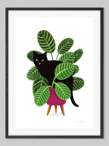 Black Cat in Calathea Plant – art print