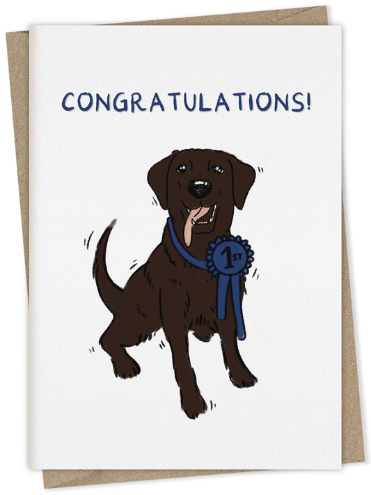 Congratulations (brown Labrador) – dog greeting card
