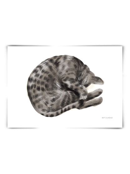 Sleeping Bengal Cat – art print