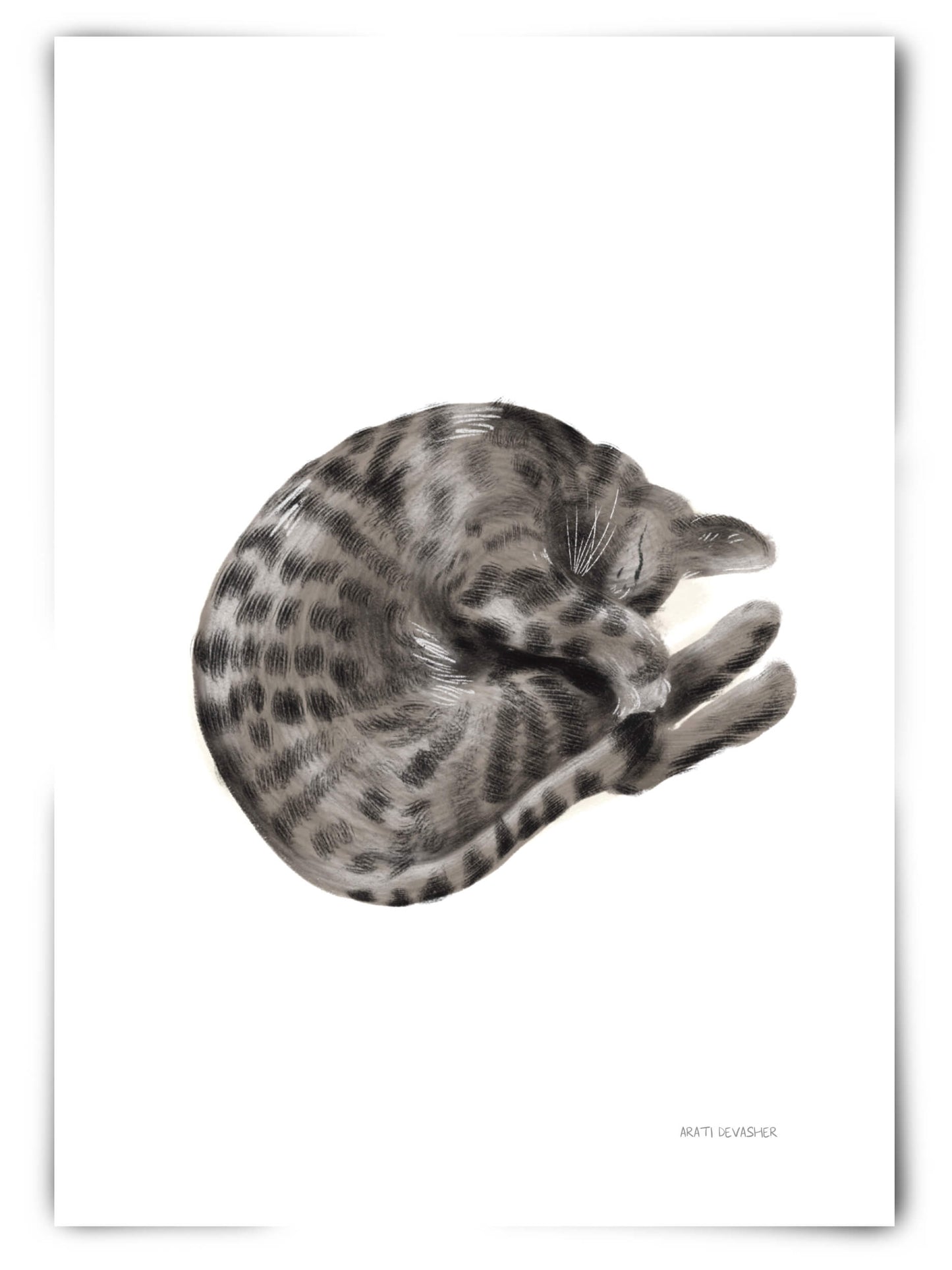 Sleeping Bengal Cat – art print