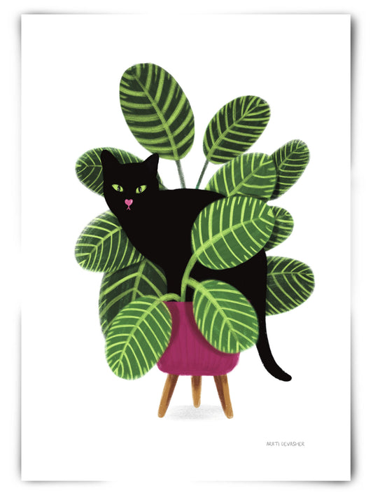 Black Cat in Calathea Plant – art print