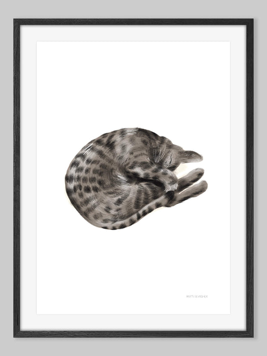 Sleeping Feline (Bengal cat) – art print