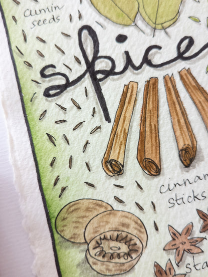 Green Spice – watercolour painting